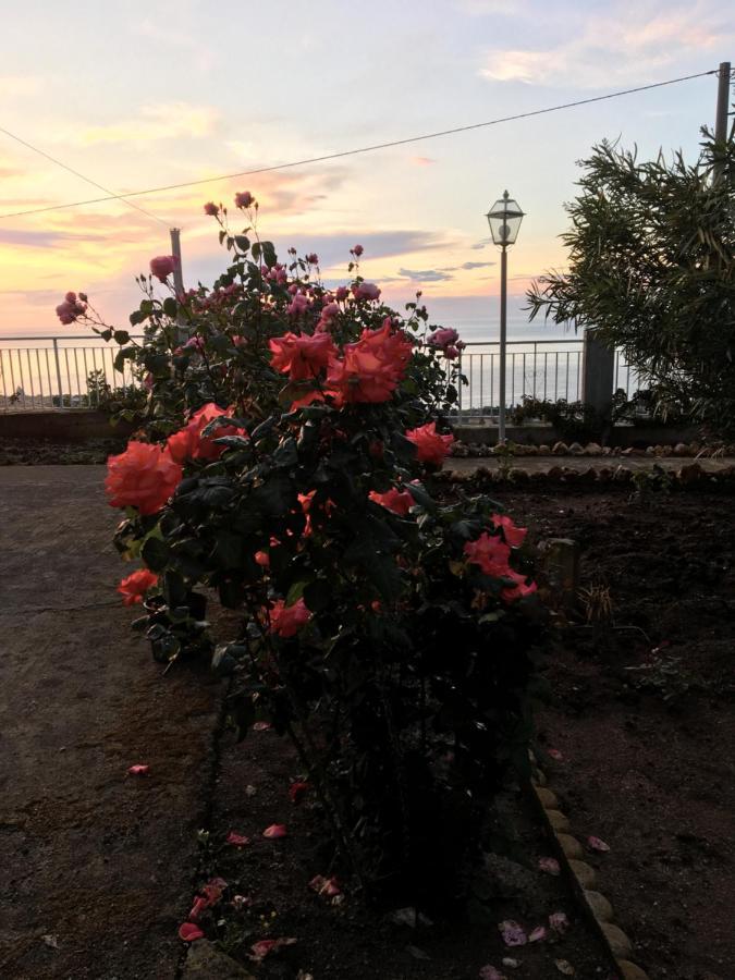 Balconcino Degli Innamorati Tropea 圣多米尼卡 外观 照片