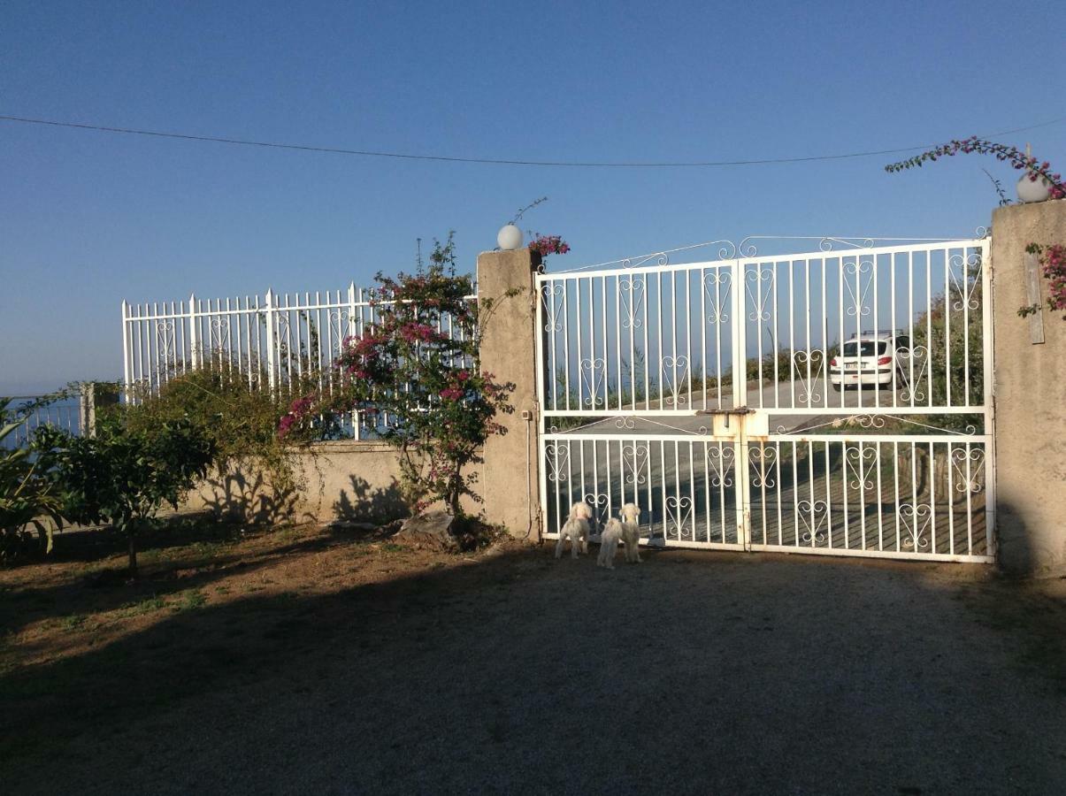 Balconcino Degli Innamorati Tropea 圣多米尼卡 外观 照片